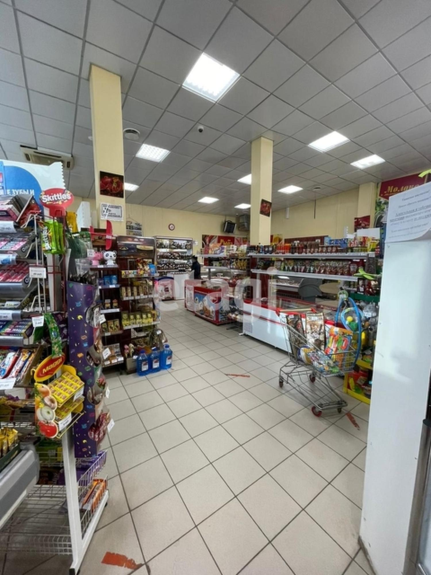 Купить торговое помещение за 40 000 000 рублей на улица Олейникова