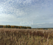 земля 10 сот Array