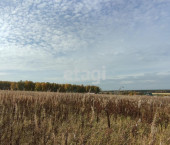 земля 10 сот Array