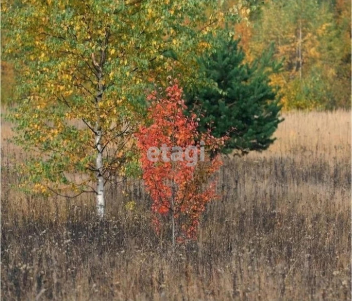 Земельный участок Array