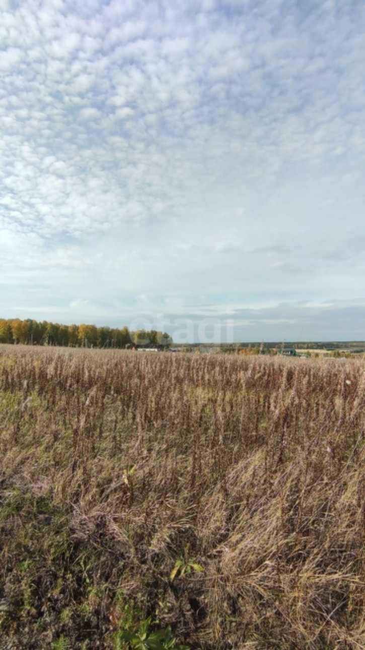 Земельный участок Array