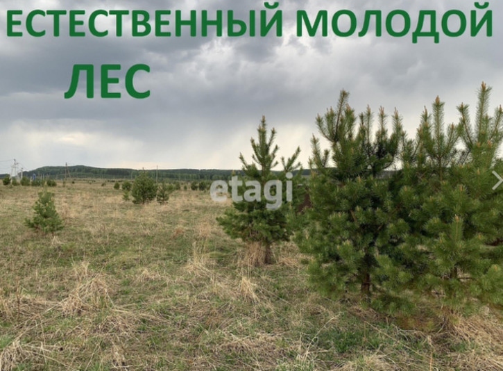 Земельный участок Array