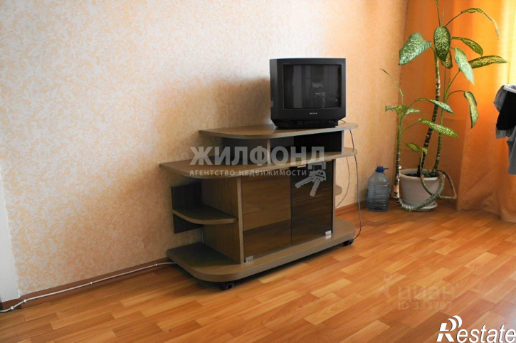 Комната улица Мичурина, 24,  д. 24
