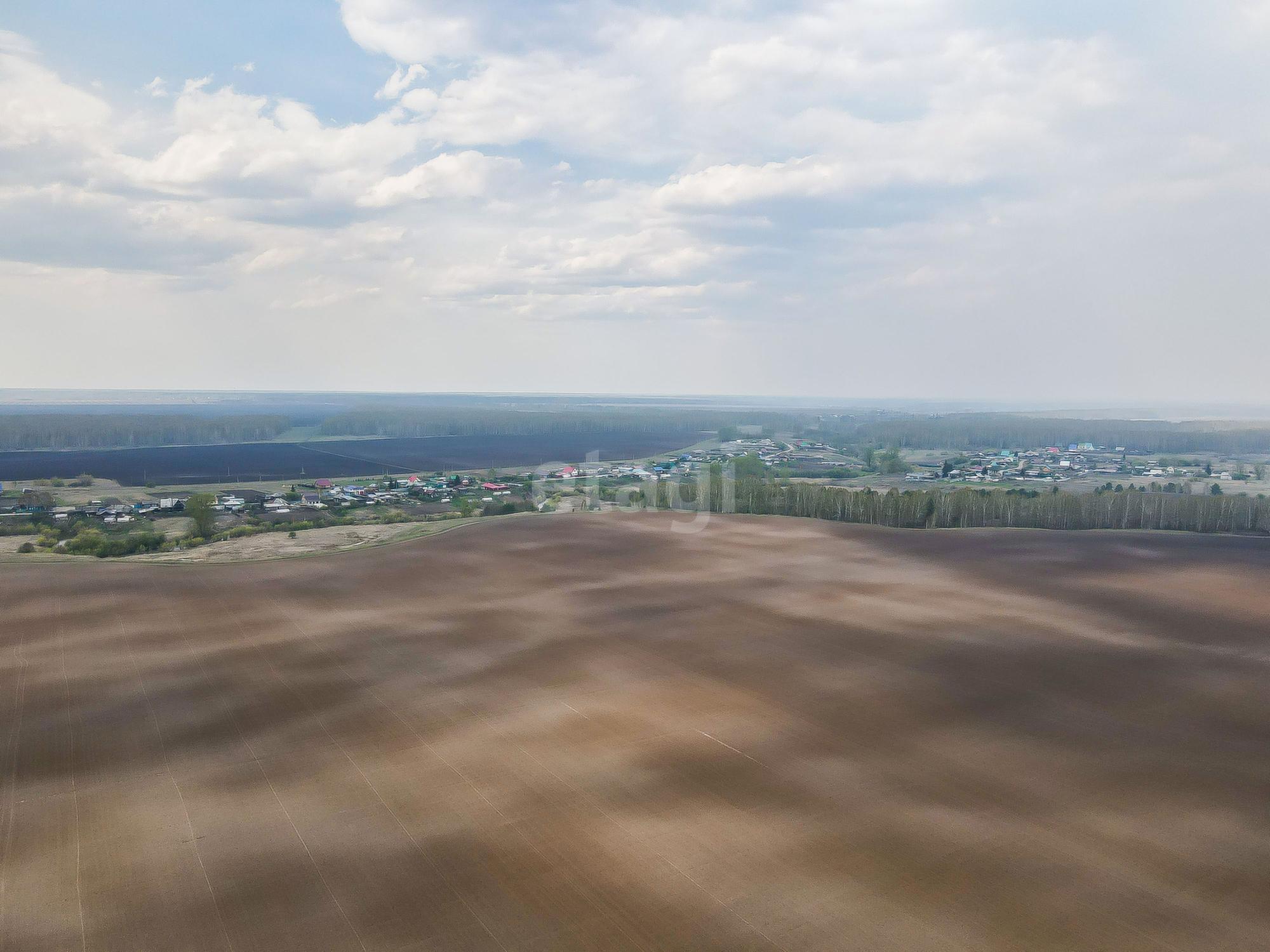 Купить землю, земельный участок за 142 430 000 рублей на 66:29:0602009:671
