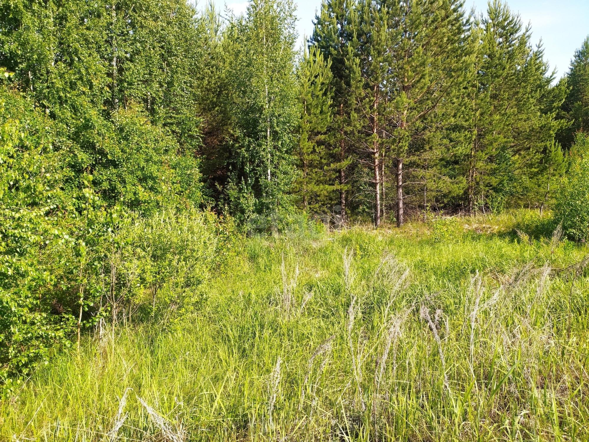 Купить землю, земельный участок за 300 000 рублей на Гагарский, 158