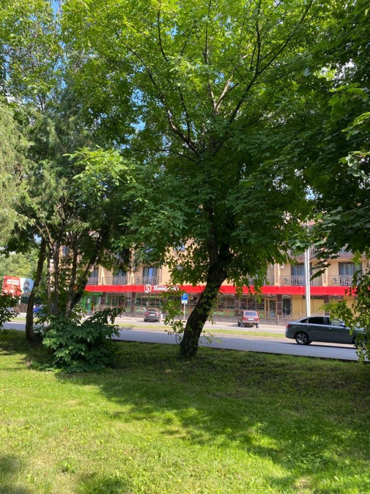 1-комн квартира Октябрьская ул, 481