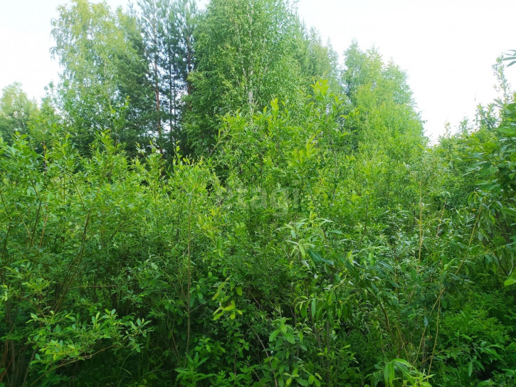 Земельный участок Гагарский,6-ая Парковая 157
