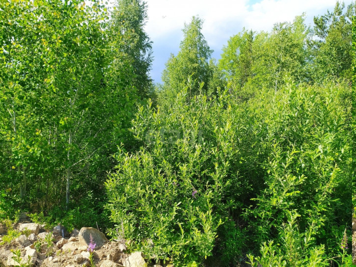 Земельный участок Гагарский, 158