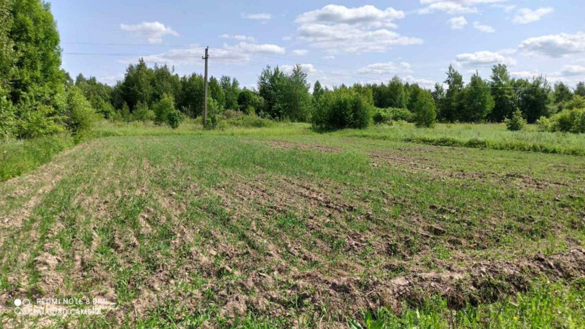Купить землю, земельный участок за 350 000 рублей на Долотково д
