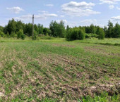 земля 8 сот Долотково д