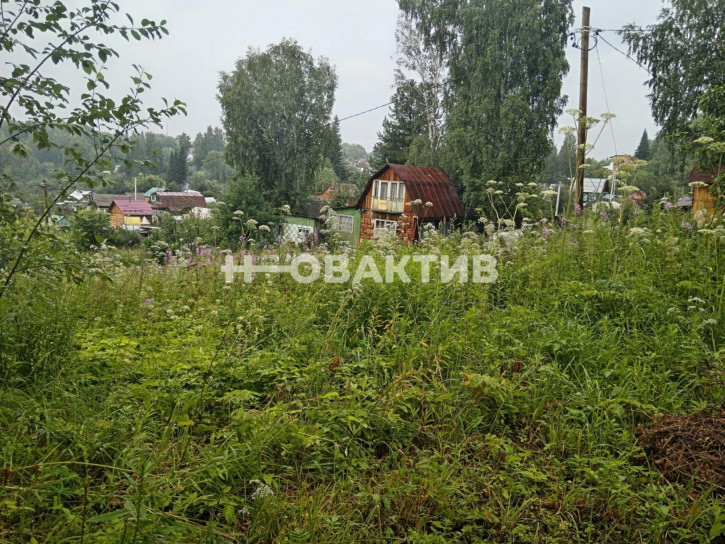 Коттедж/дом Новосибирская обл, Новосибирский р-н, МО Раздоленского сельсовета, с.т. Бирюсинка