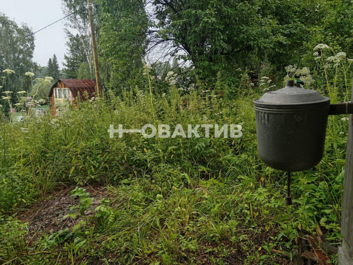 Коттедж/дом Новосибирская обл, Новосибирский р-н, МО Раздоленского сельсовета, с.т. Бирюсинка