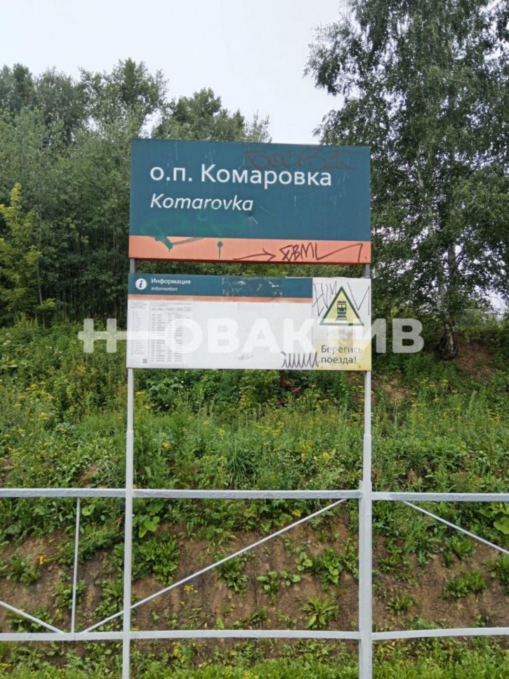 Коттедж/дом Новосибирская обл, Новосибирский р-н, МО Раздоленского сельсовета, с.т. Бирюсинка