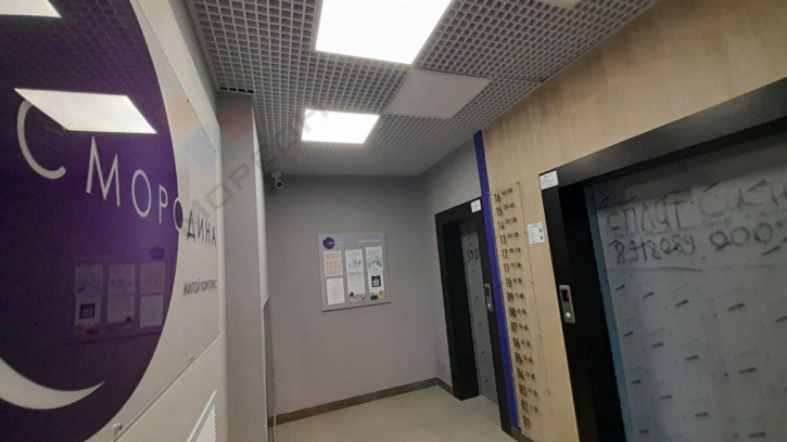 1-комн квартира улица Владимира Жириновского, 1к1