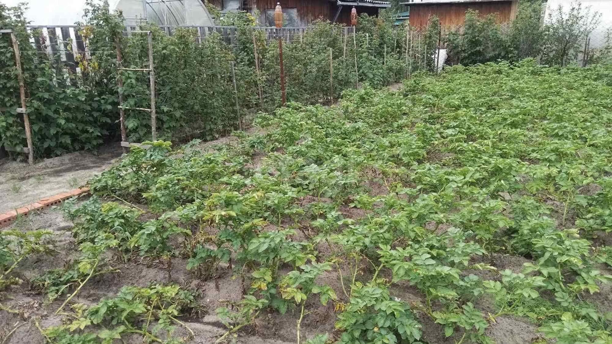 Купить дачу, дом, коттедж за 1 600 000 рублей на 10-я Сосновая, 10