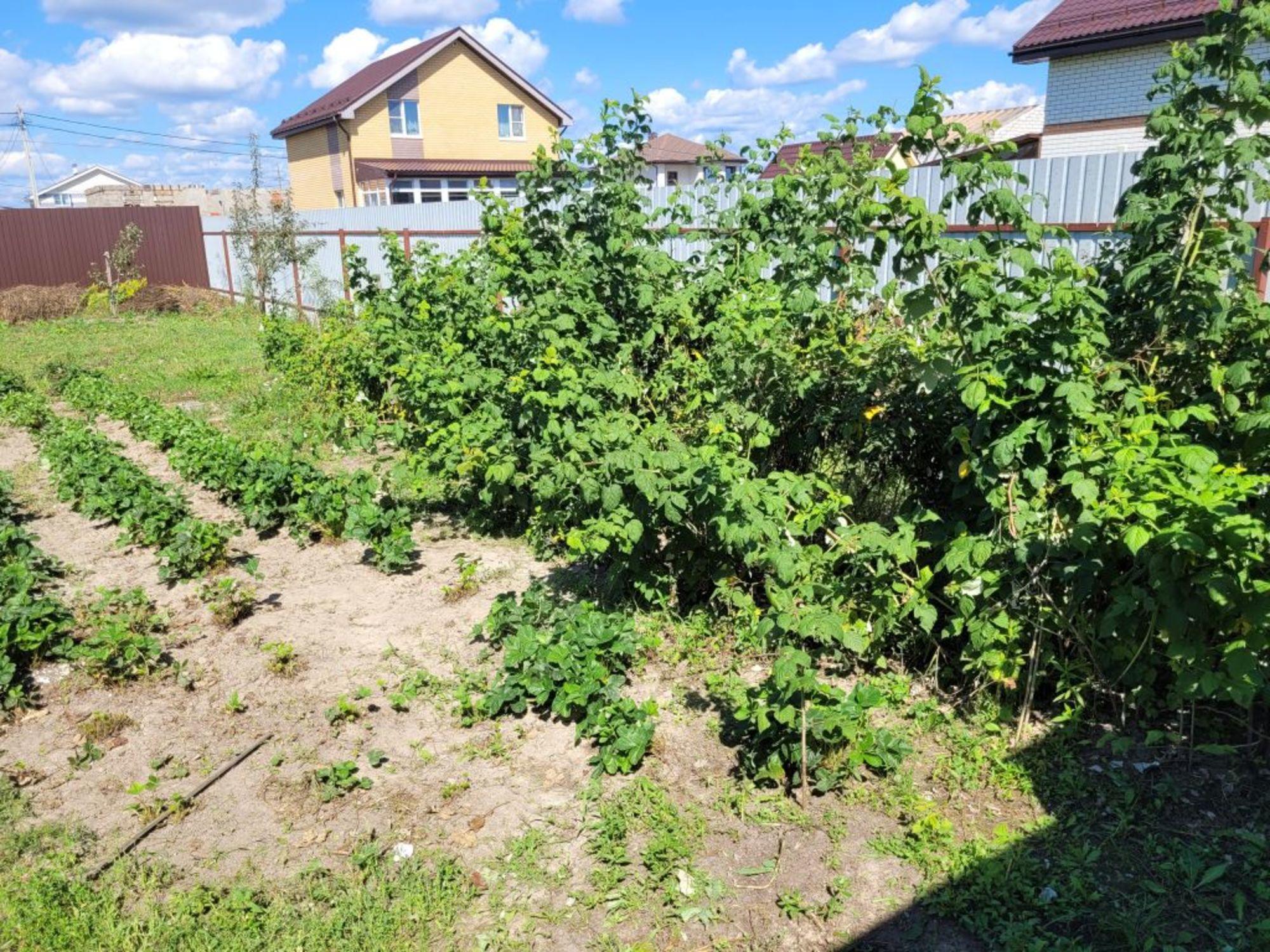 Купить дачу, дом, коттедж за 14 500 000 рублей на Смоленская ул, 113