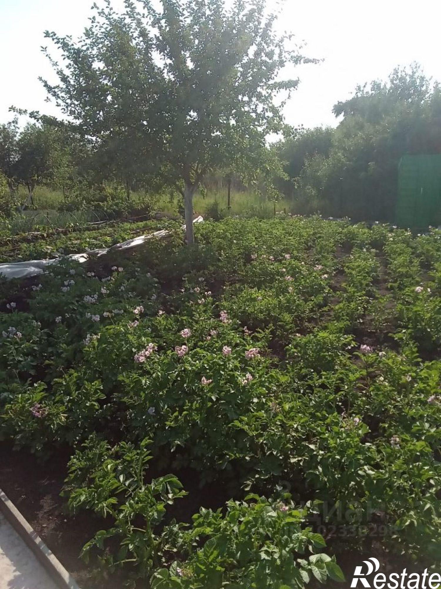 Купить дачу, дом, коттедж за 130 000 рублей на Салават, садовое некоммерческое товарищество № 8