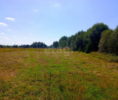земля 10 сот Грязовец, 3