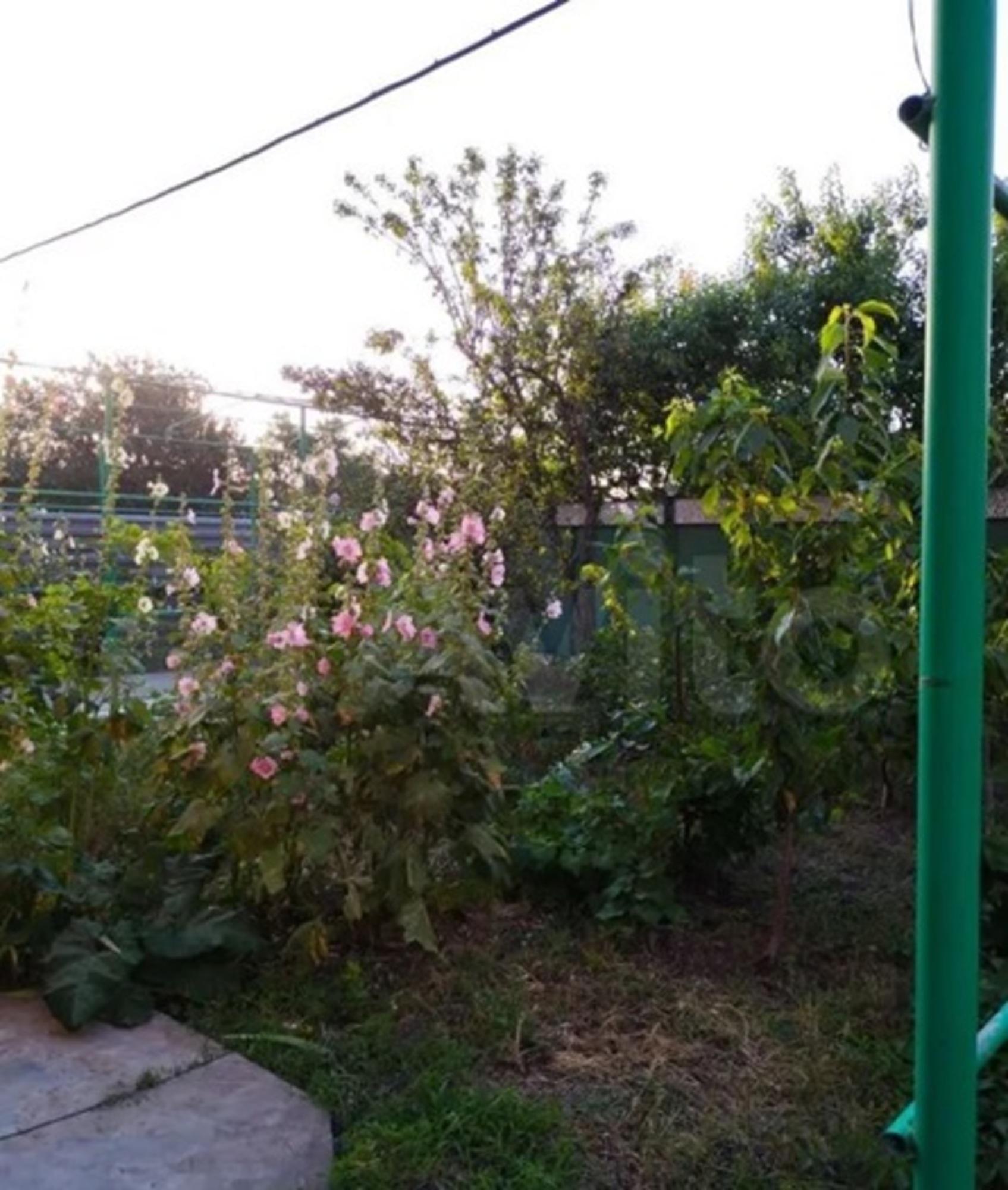 Купить дачу, дом, коттедж за 12 000 000 рублей на Молдавская улица, 789