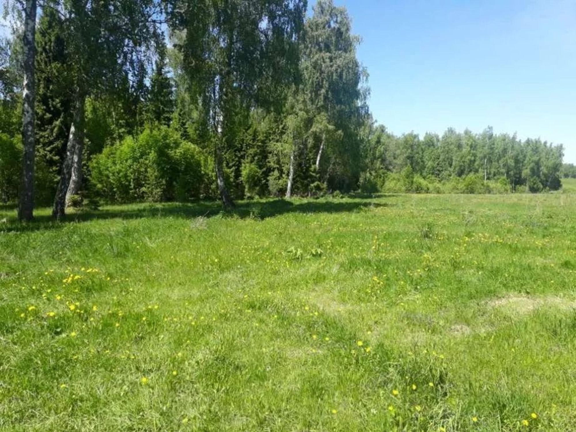 Купить землю, земельный участок за 1 800 000 рублей на зеленая