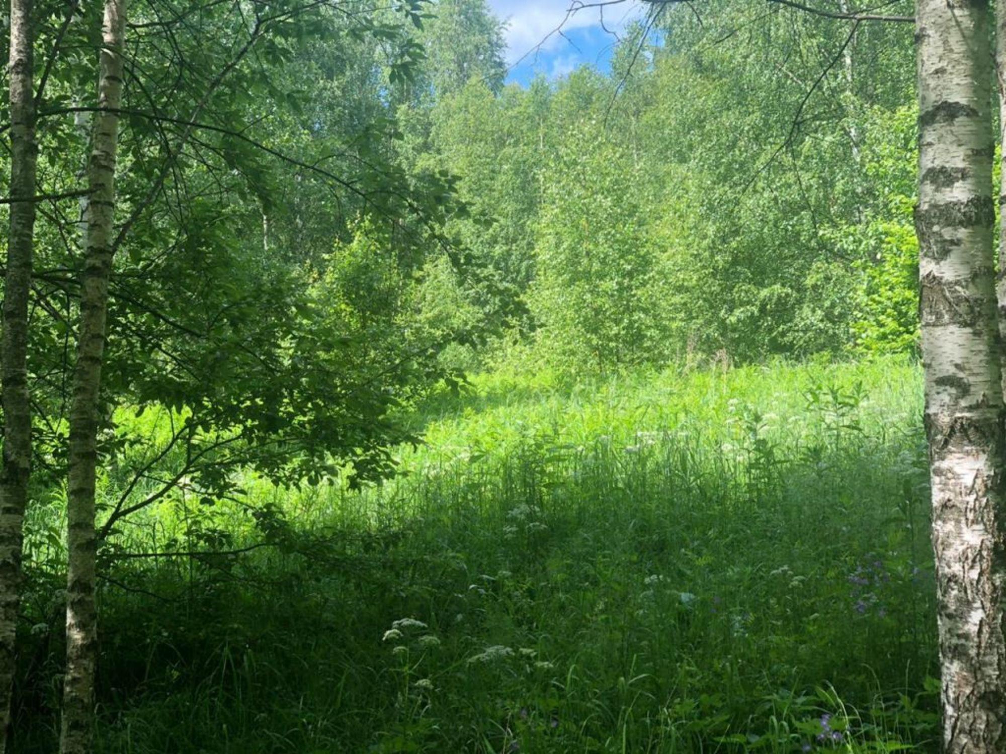 Купить землю, земельный участок за 2 000 000 рублей на Красногор д