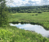 земля 532 сот Красногор д