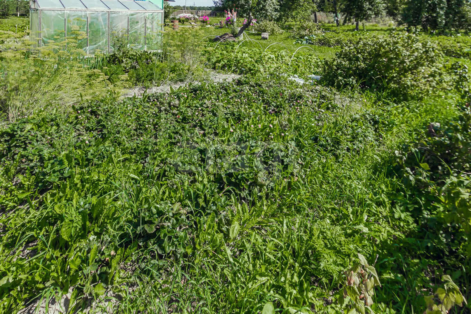 Купить дачу, дом, коттедж за 950 000 рублей на деревня Цыпоглазово, 3а