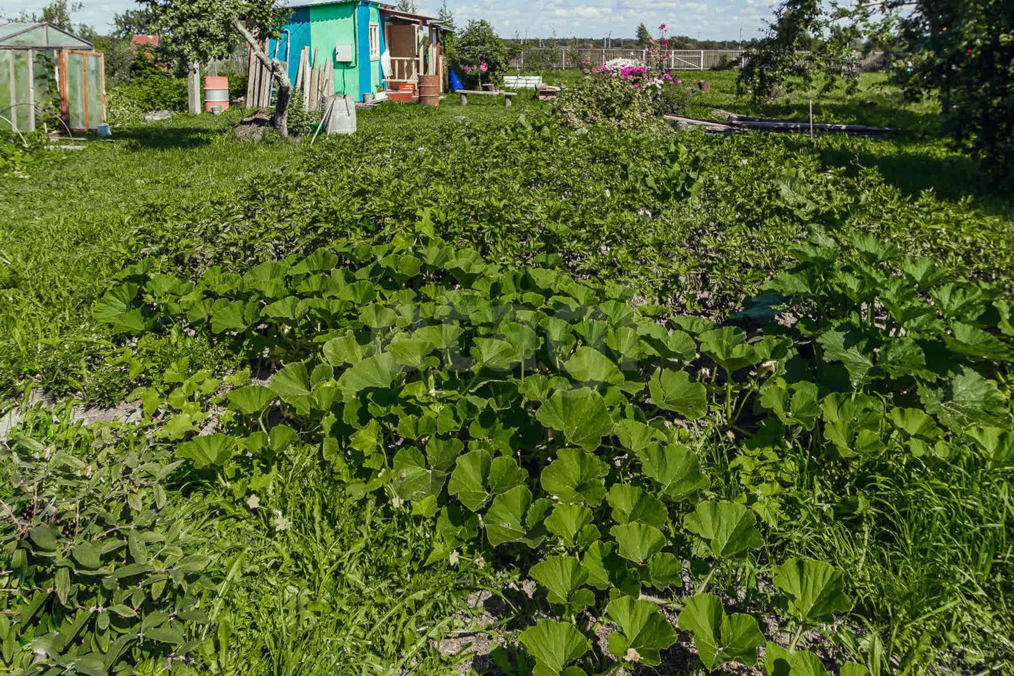 Купить дачу, дом, коттедж за 950 000 рублей на деревня Цыпоглазово, 3а