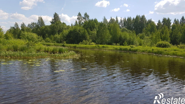 Земельный участок Калязинский район, деревня Панютино, б/н