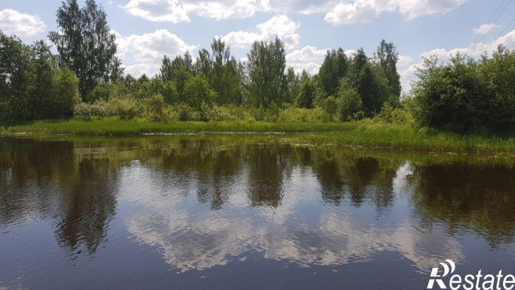 Земельный участок Калязинский район, деревня Панютино, б/н