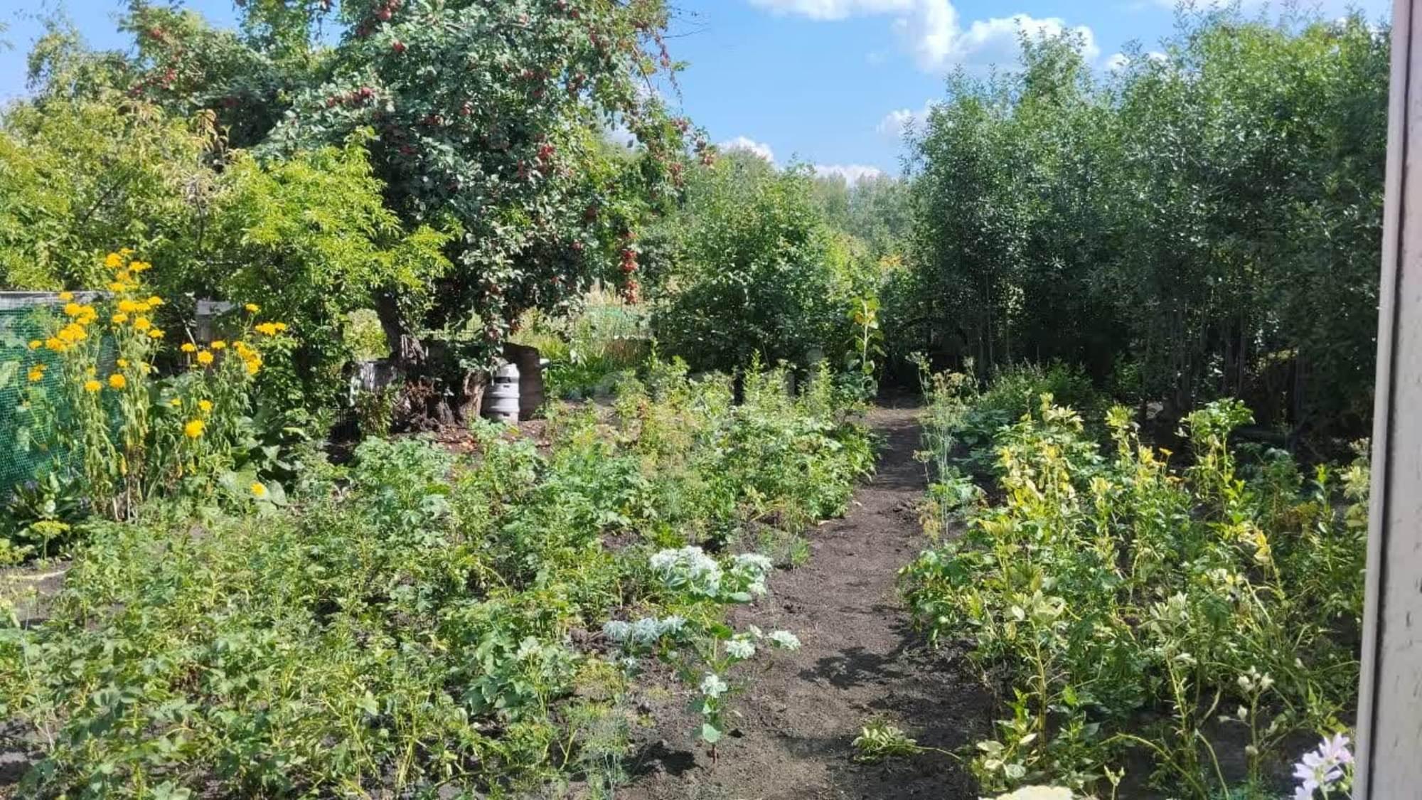 Купить дачу, дом, коттедж за 450 000 рублей на Аллея 1-я,