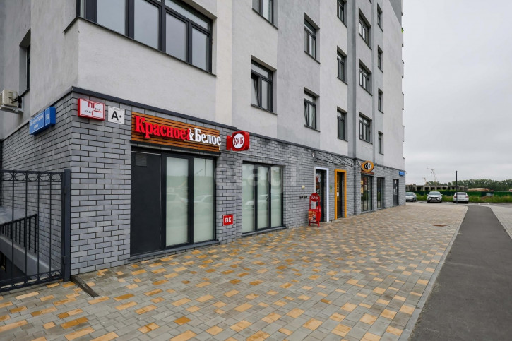 1-комн квартира Александра Пушкина, 10