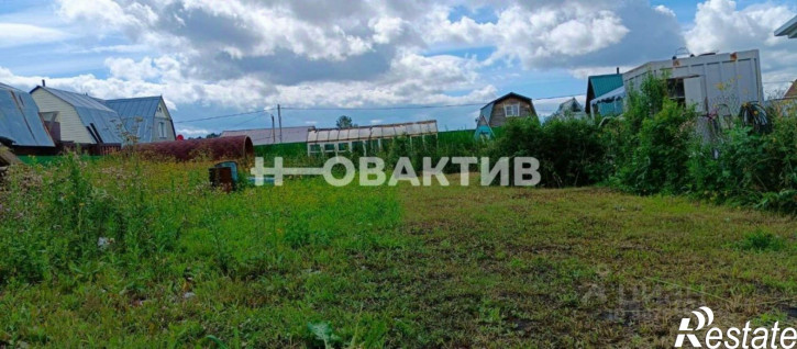 Земельный участок Новосибирская обл, Новосибирский р-н, тер. СНТ Волна-1, ул Девятая, д 46