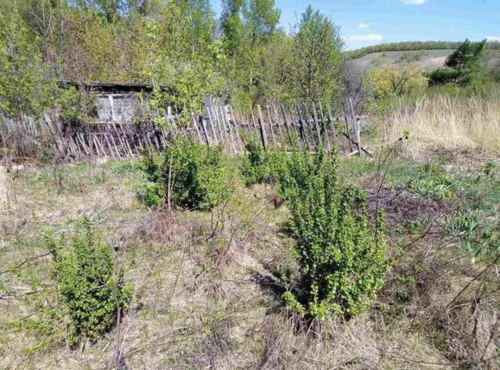 Земельный участок Лесная улица, 22в