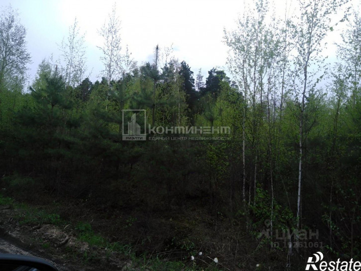 Земельный участок Собинский район, Собинка г., Новая ул., д.33