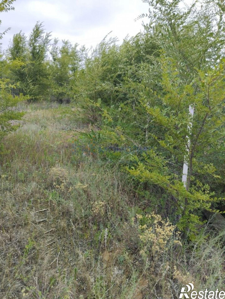 Земельный участок Волгоград городской округ, Берендей территория СНТ, 8-я линия ул
