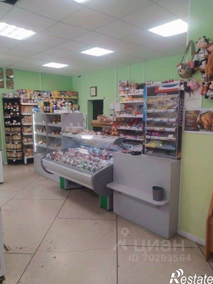 Торговое помещение Российская улица