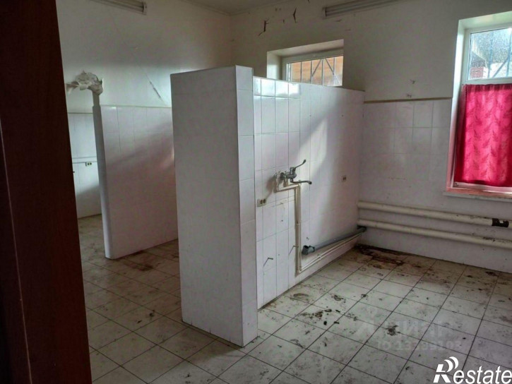Отдельное здание Красносельский р-н, Шолохово д, Центральная, 13а