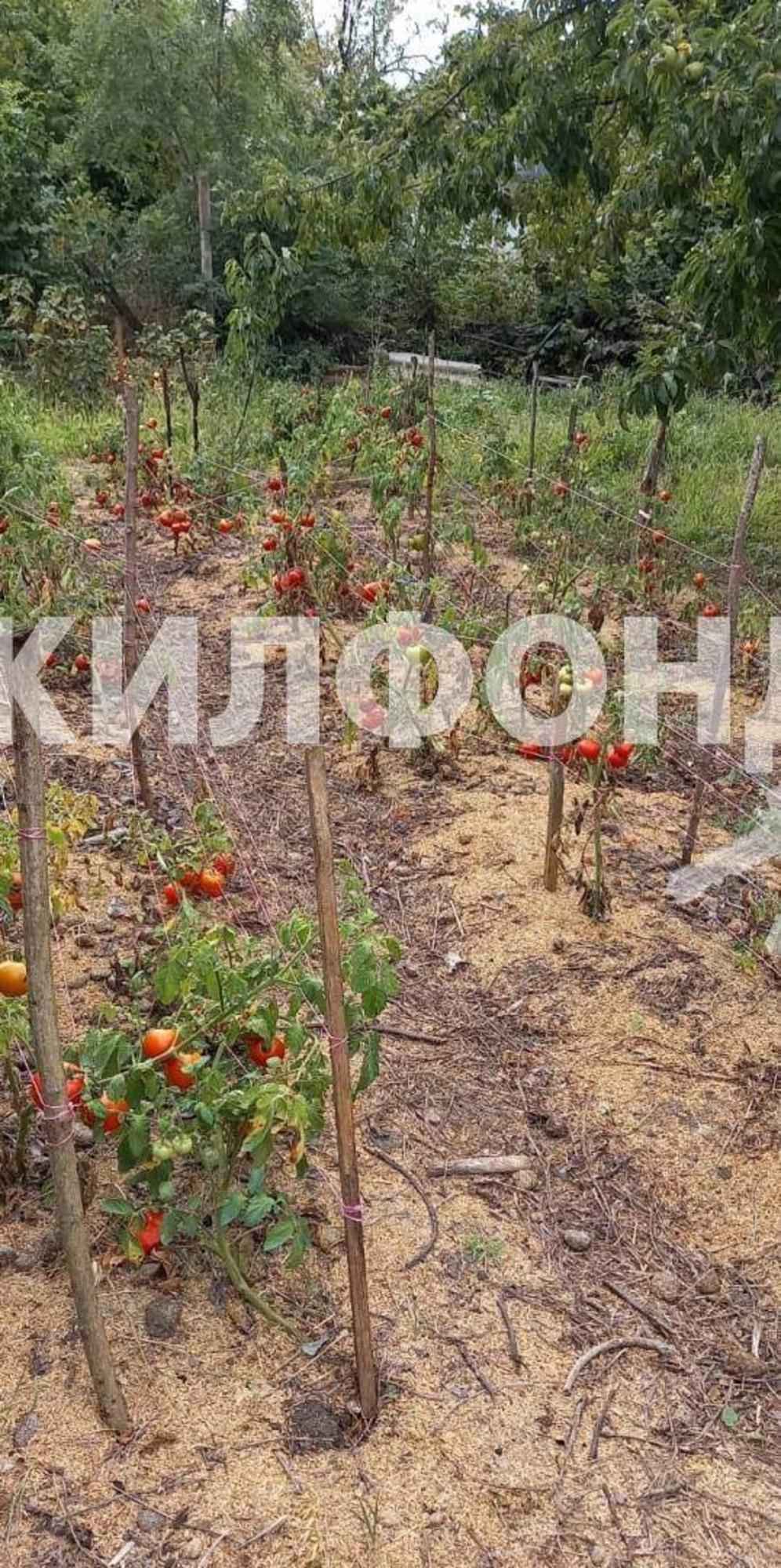 Купить дачу, дом, коттедж за 1 000 000 рублей на Лесная улица