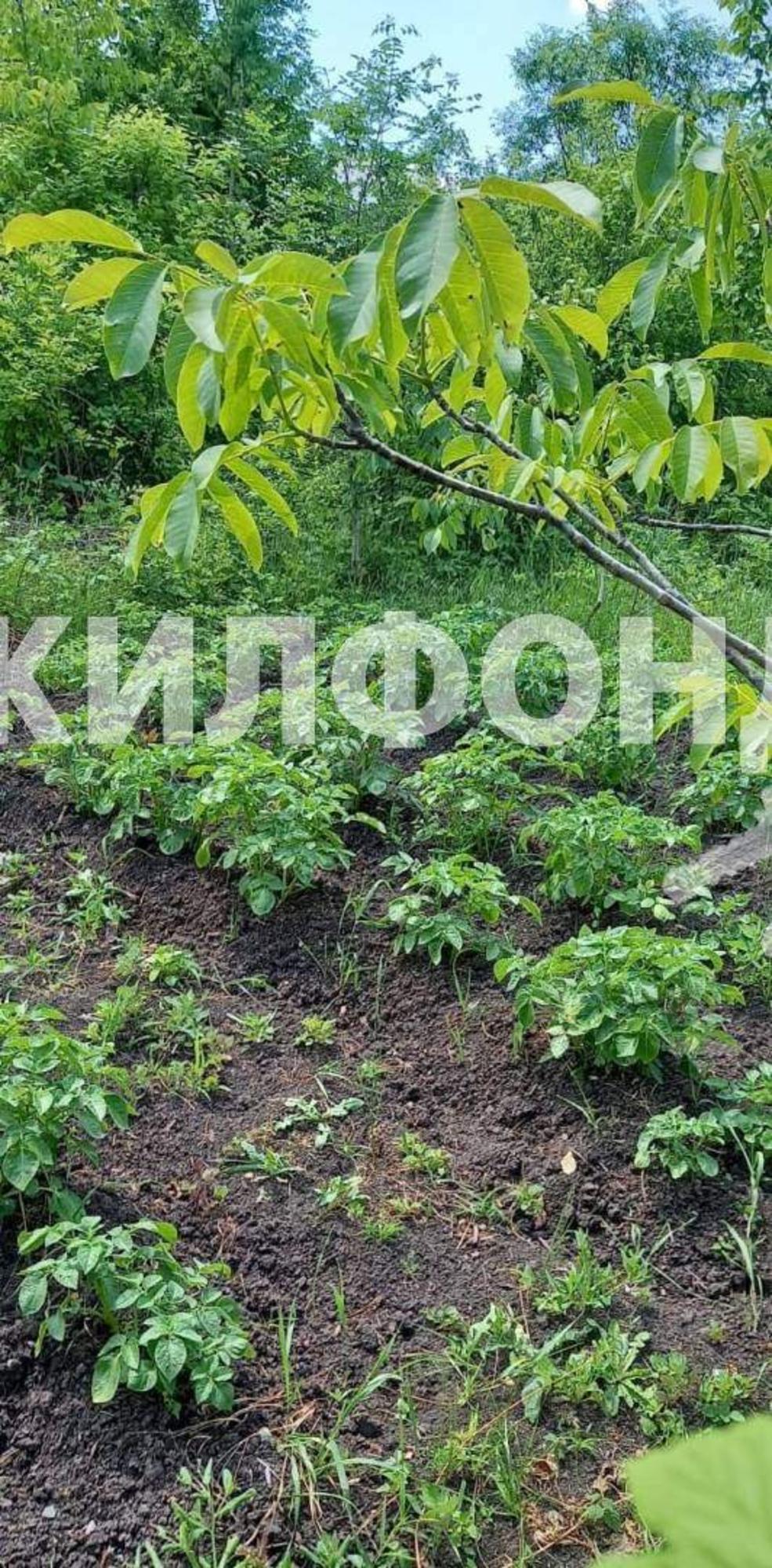 Купить дачу, дом, коттедж за 1 000 000 рублей на Лесная улица