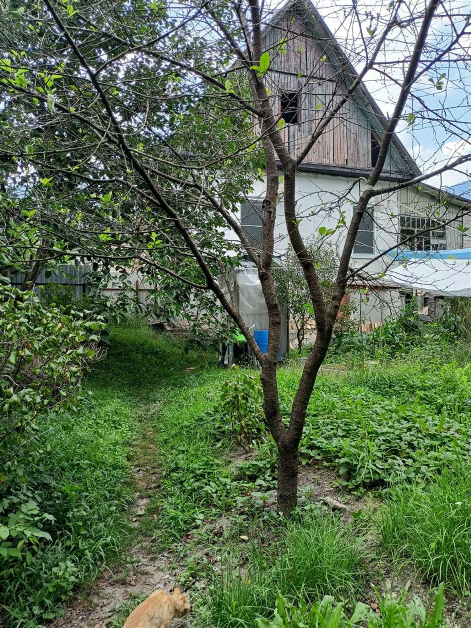 Купить землю, земельный участок за 60 000 000 рублей на ул Мельничный ручей, д. 12