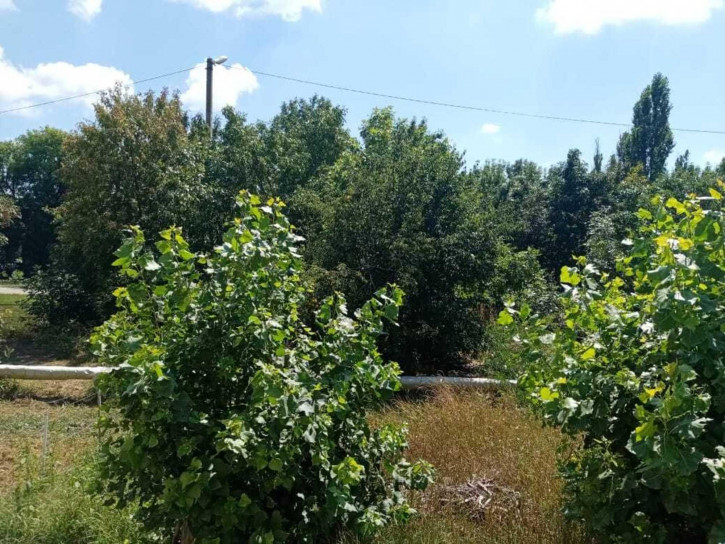 3-комн квартира Зелёная улица, 7