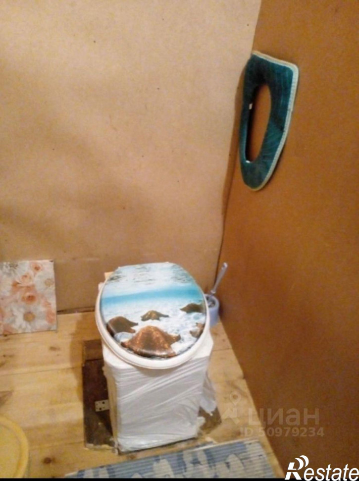 Коттедж/дом Няндомский муниципальный округ, деревня Будринская