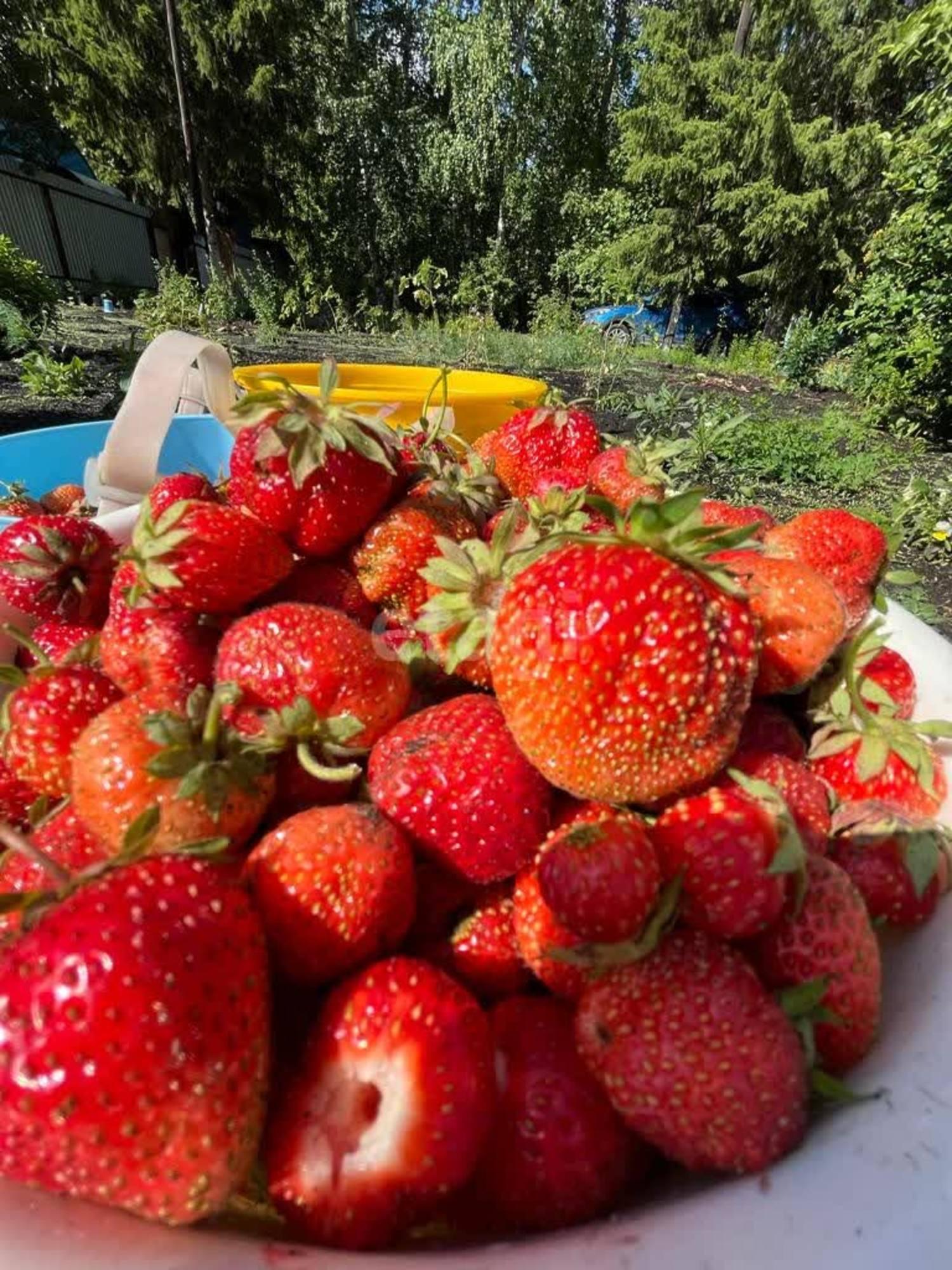 Купить дачу, дом, коттедж за 1 900 000 рублей на Заря с/о