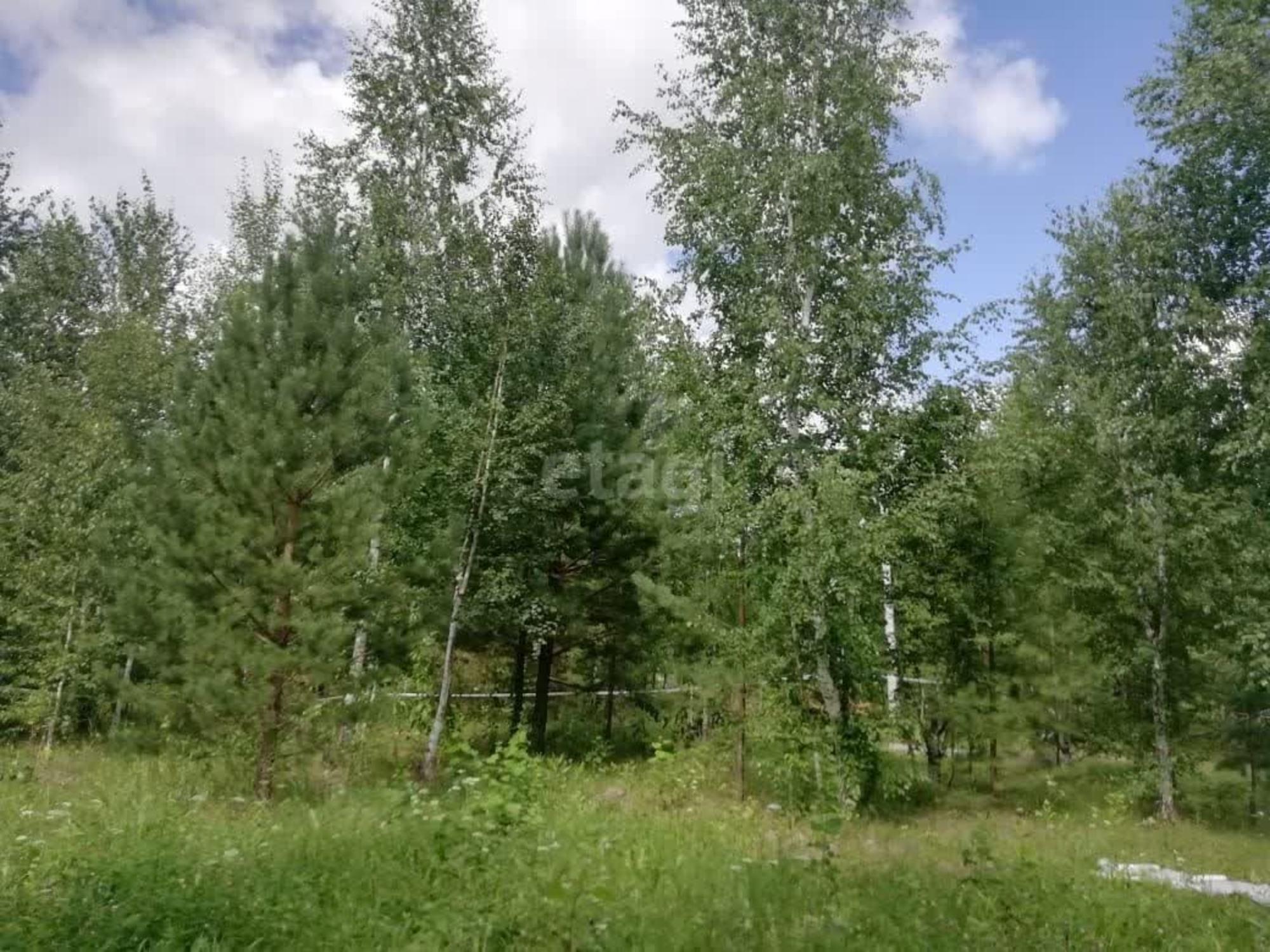 Купить дачу, дом, коттедж за 2 150 000 рублей на Друганова