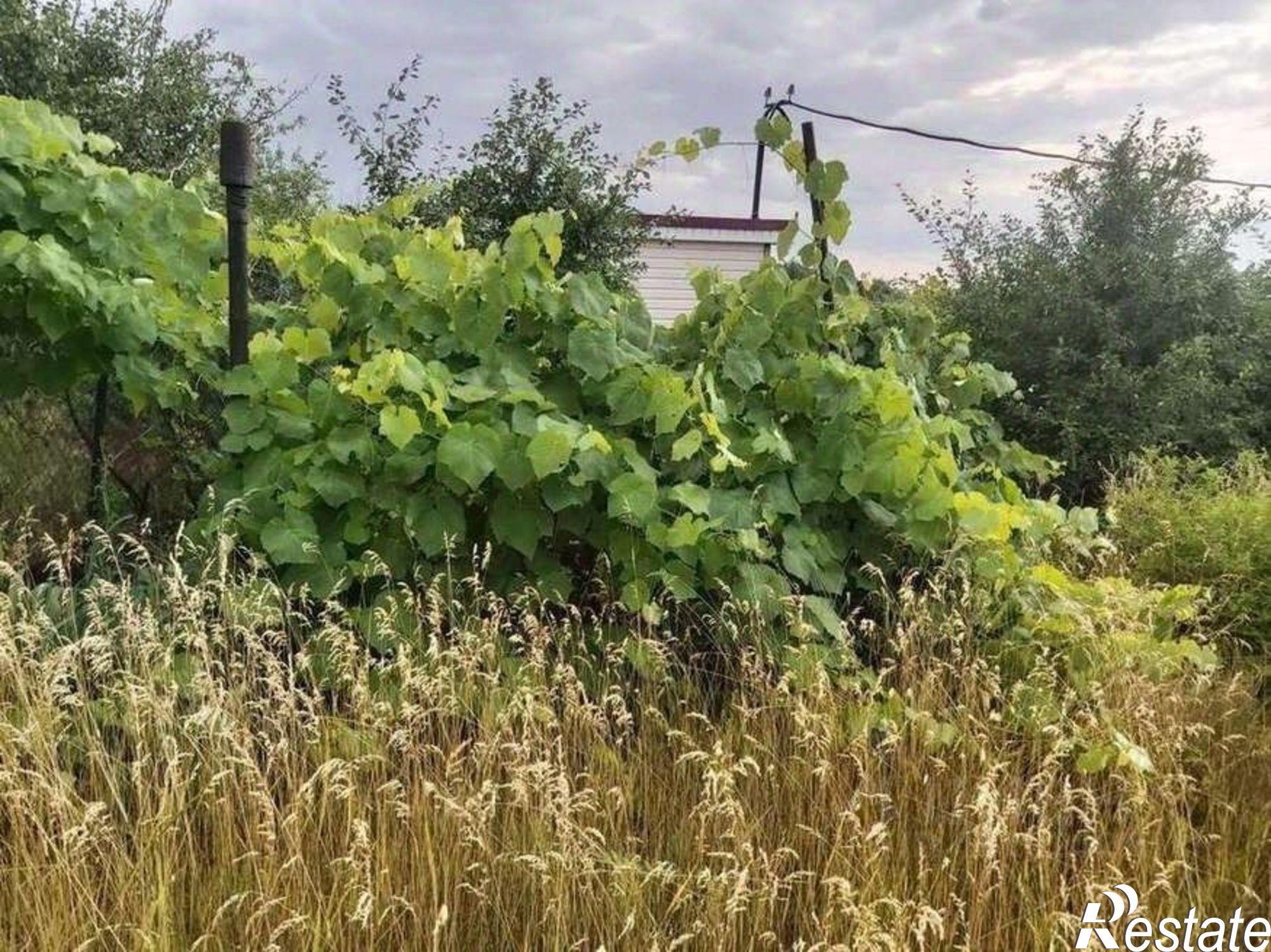 Купить дачу, дом, коттедж за 270 000 рублей на Червленое СНТ