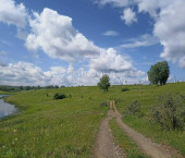земля 60.54 сот село Сокур