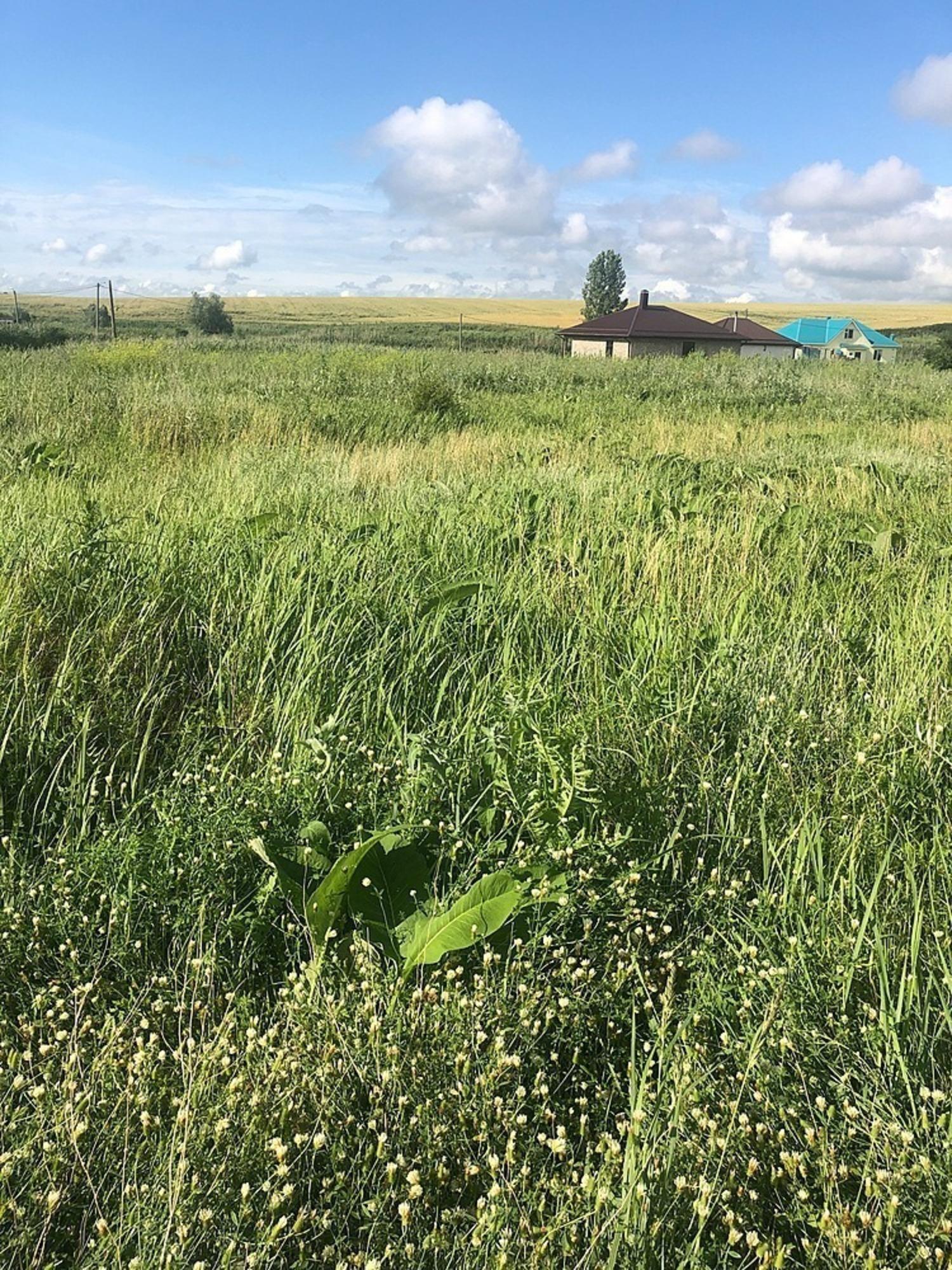 Купить землю, земельный участок за 1 500 000 рублей на СОТ Пищевик