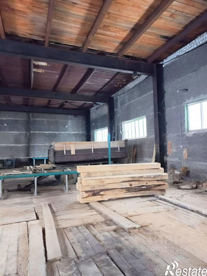 Производственное помещение Краснобаковский муниципальный округ, деревня Богатыриха