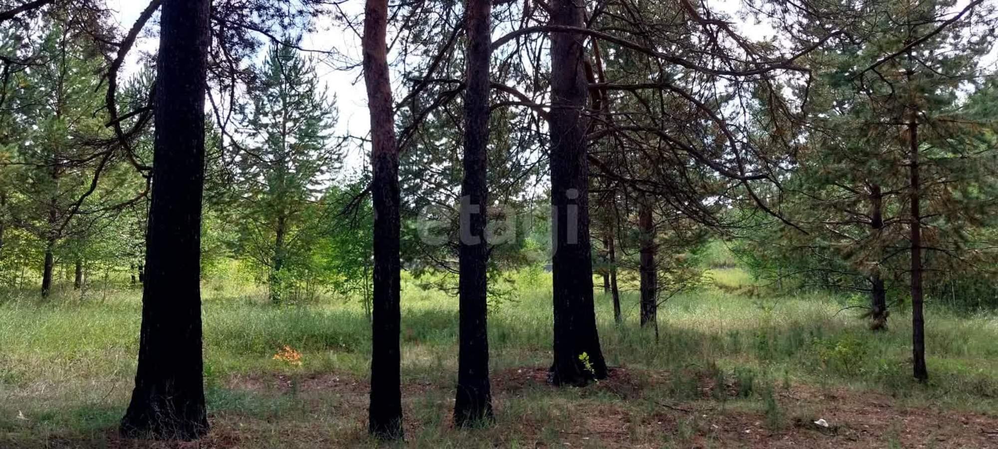 Купить землю, земельный участок за 3 200 000 рублей на Арамиль,Береговая 7